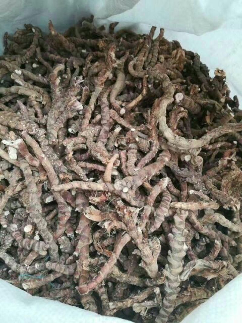 石菖蒲统条