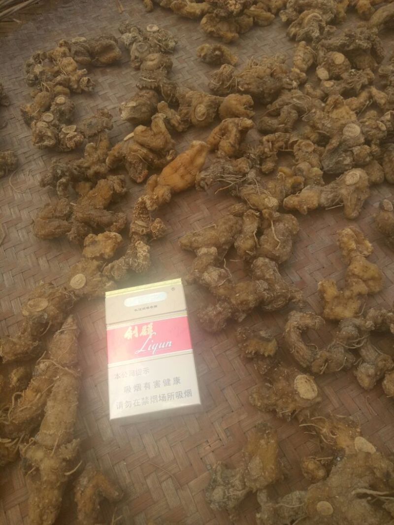 黄精中大货