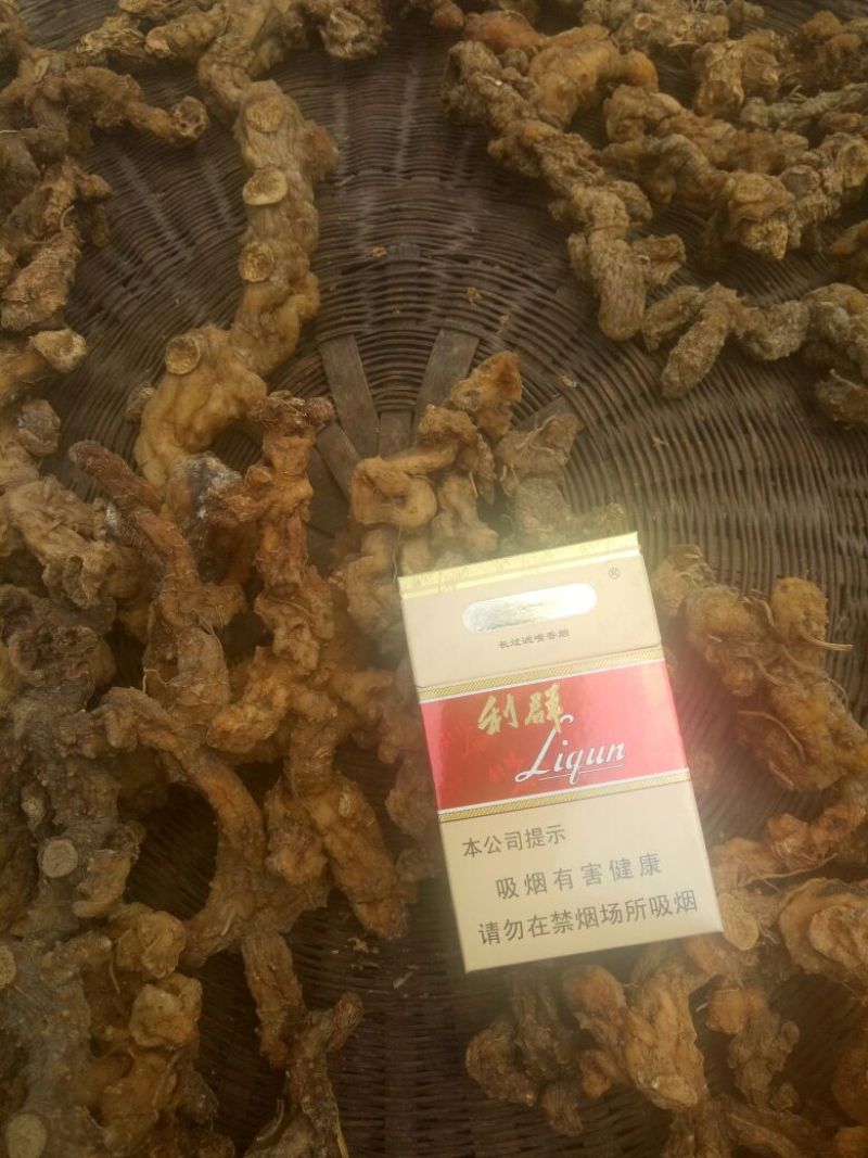 黄精中大货