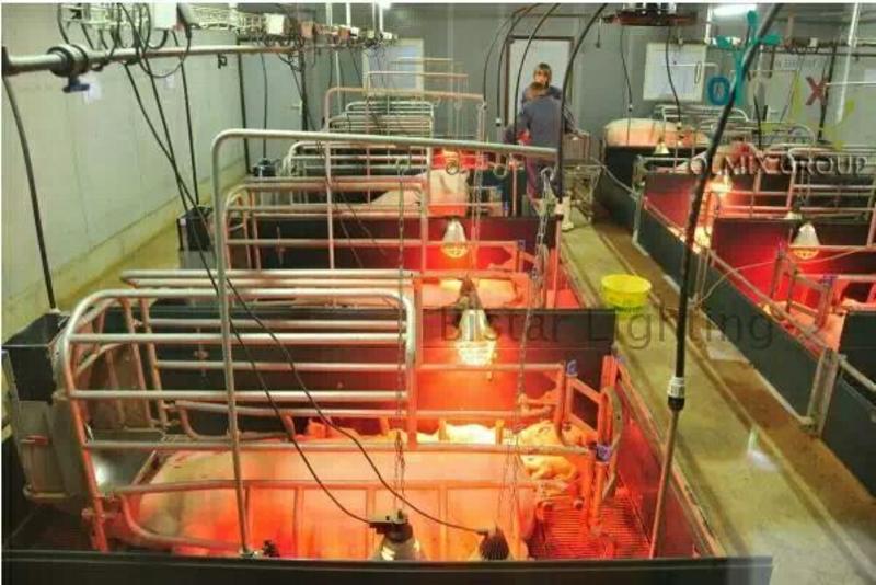 供暖设备巴士达畜牧养殖猪场用宠物保温取暖鸡仔兽用红外线灯