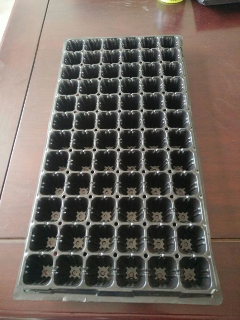 穴盘50孔