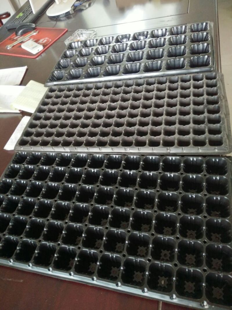 穴盘50孔