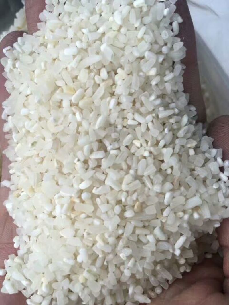 大米新米特级