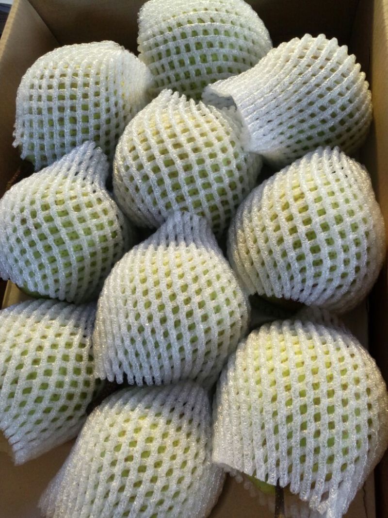 莱阳梨350~400g光果