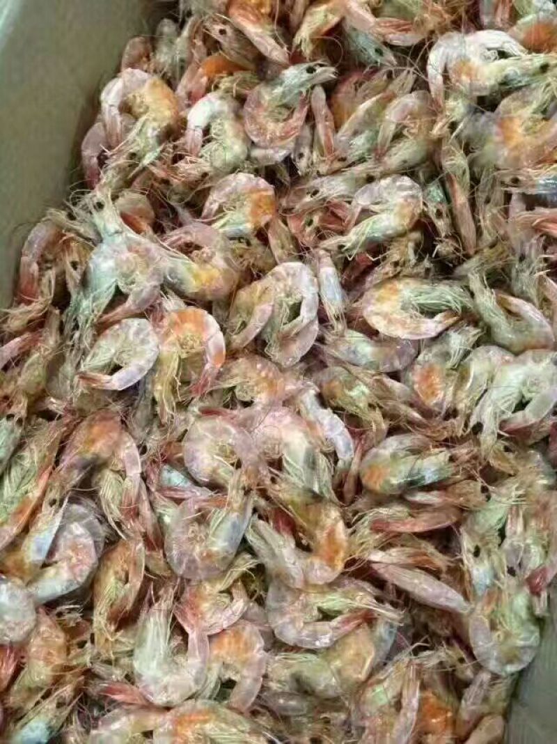 对虾干