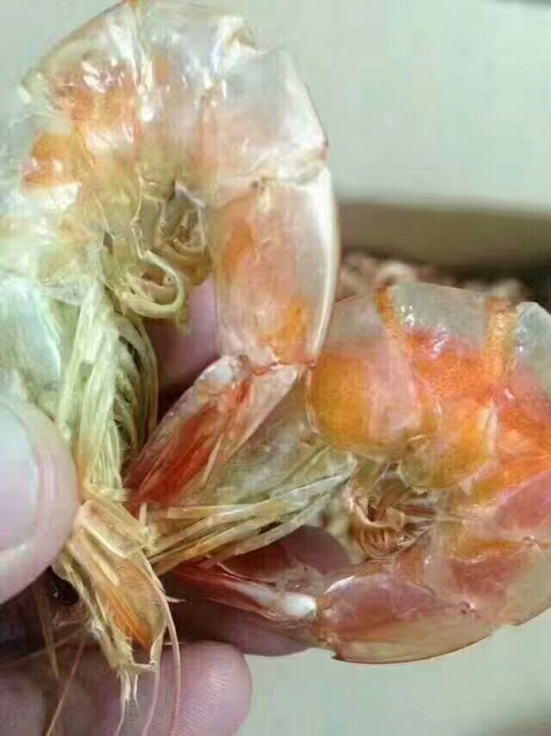 对虾干