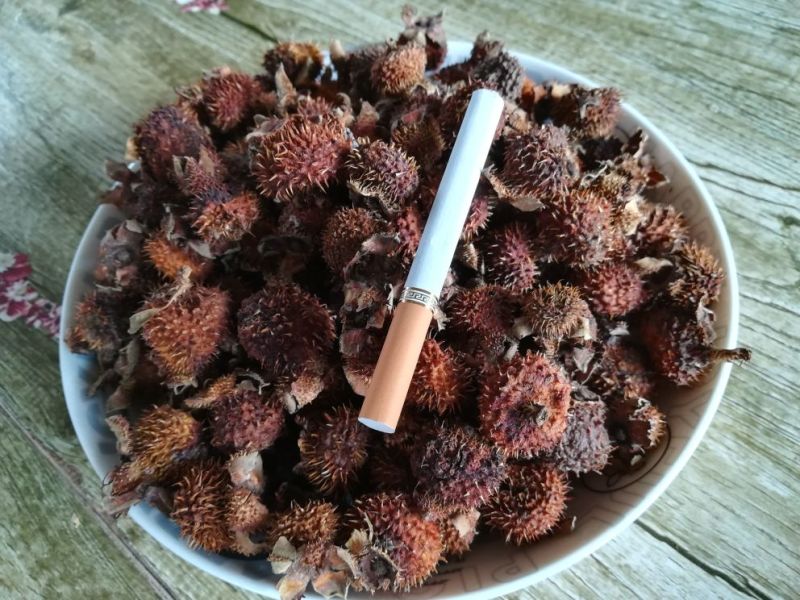 刺梨干
