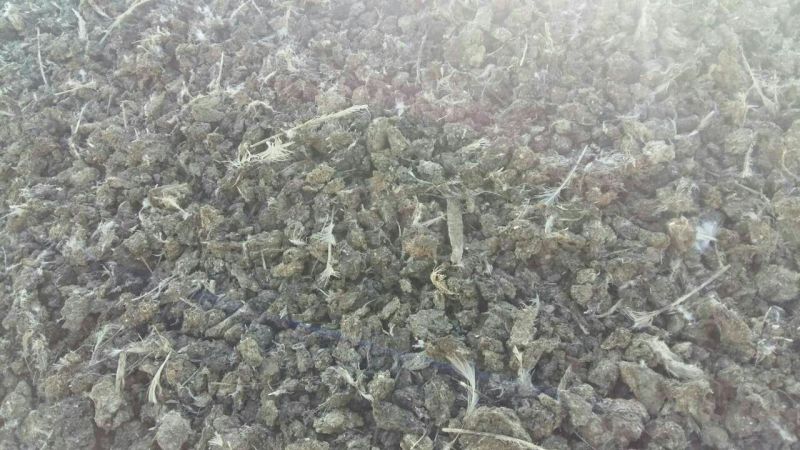 干鸡粪禽畜粪鸡粪100%(30-30-40)50kg*