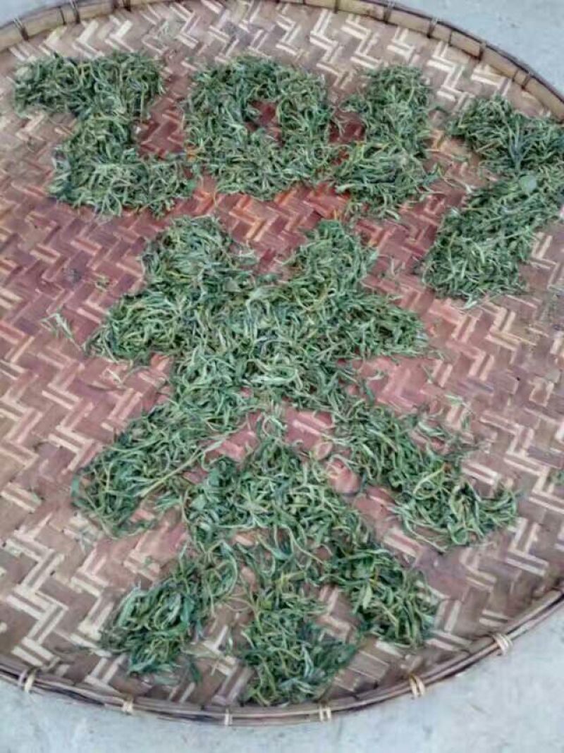 茶树油