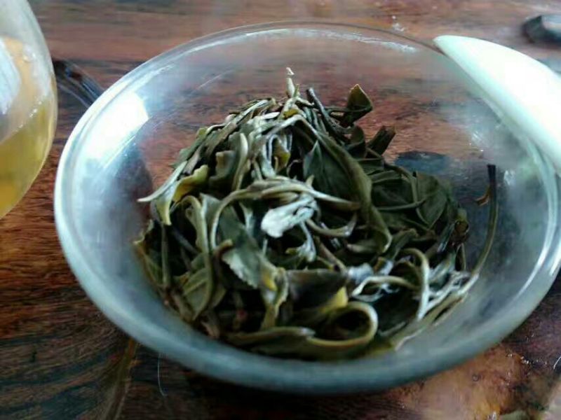 茶树油