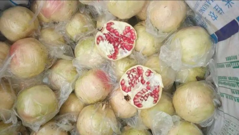 云南蒙自新鲜石榴老树沙地甜石榴水果批发零售