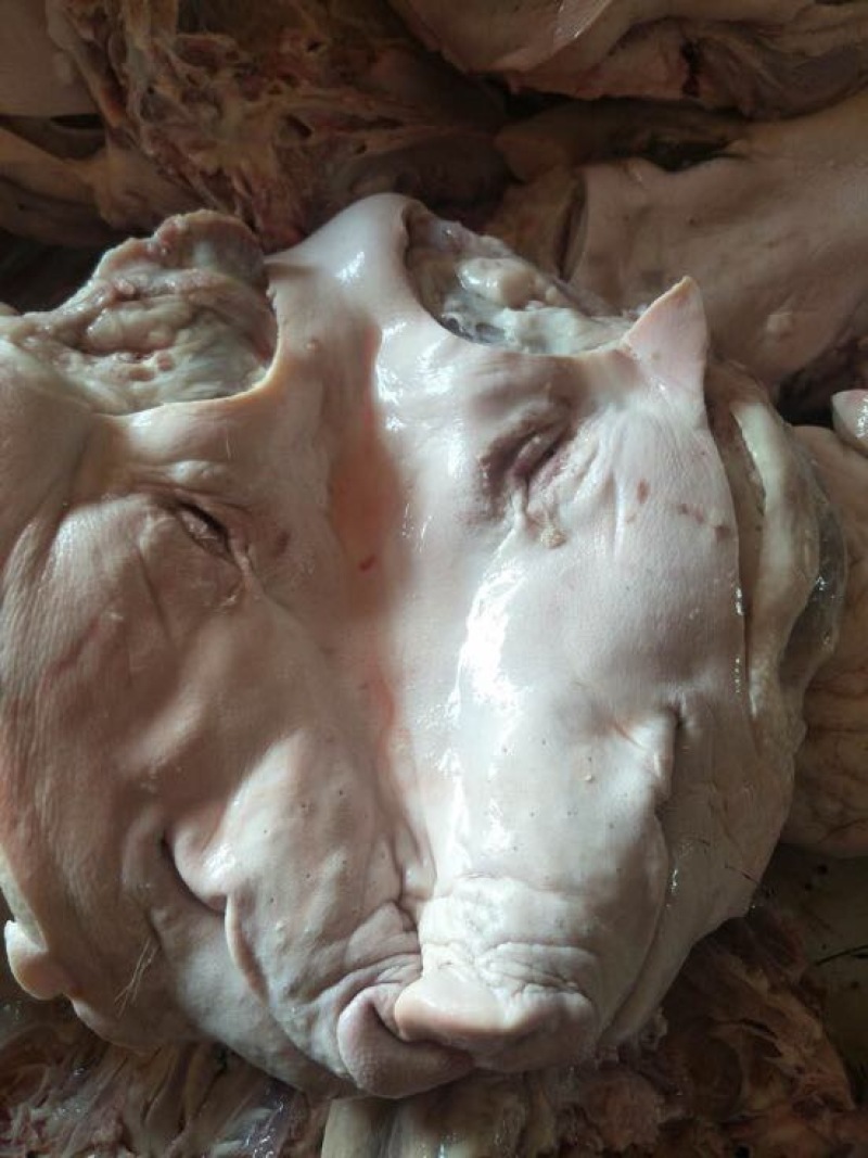 猪头肉散装