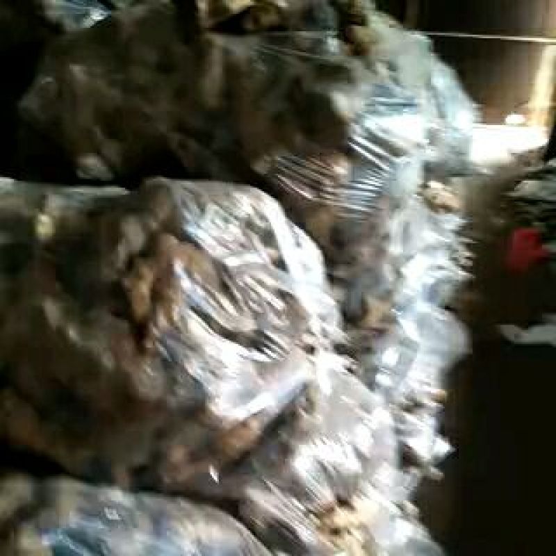 山东大黄姜批发产地（姜头姜母鲜姜）保质保量保服务