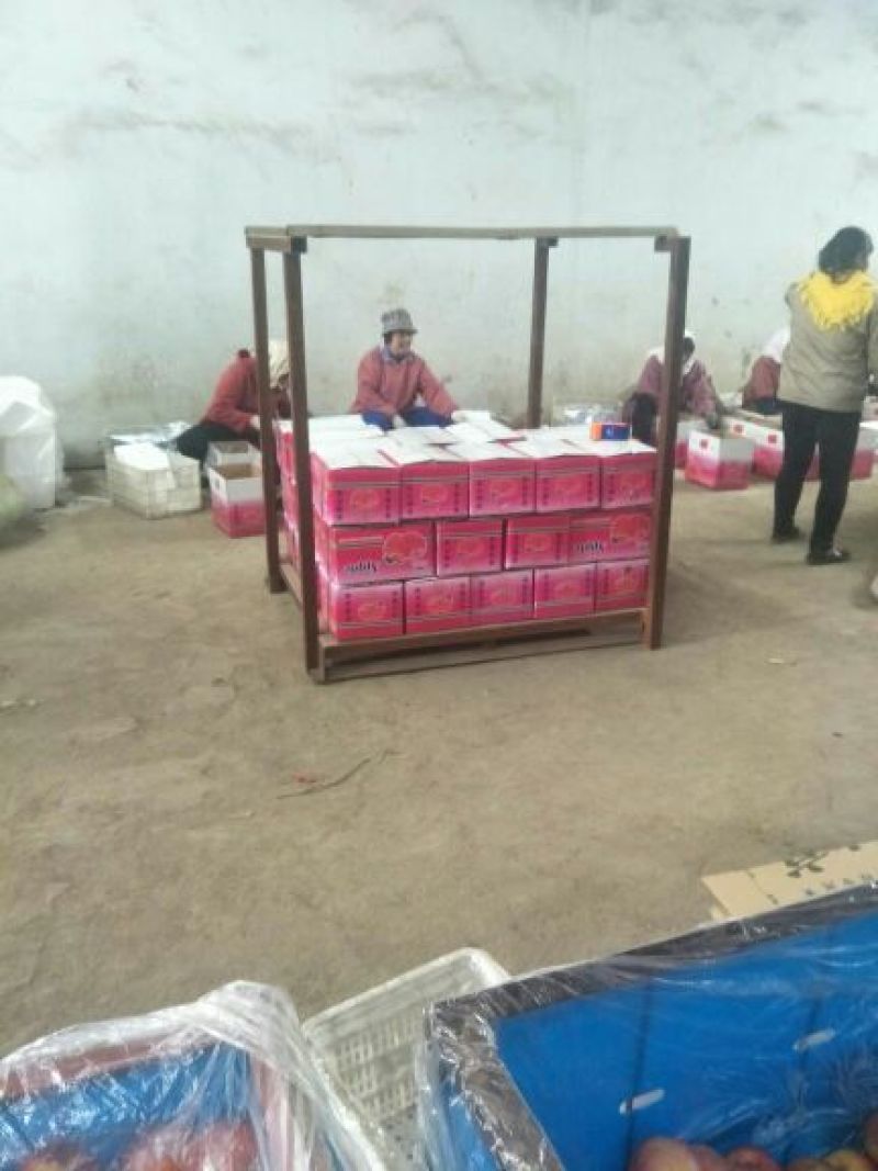 山东苹果正宗红富士苹果一手货源保质保量物流发货