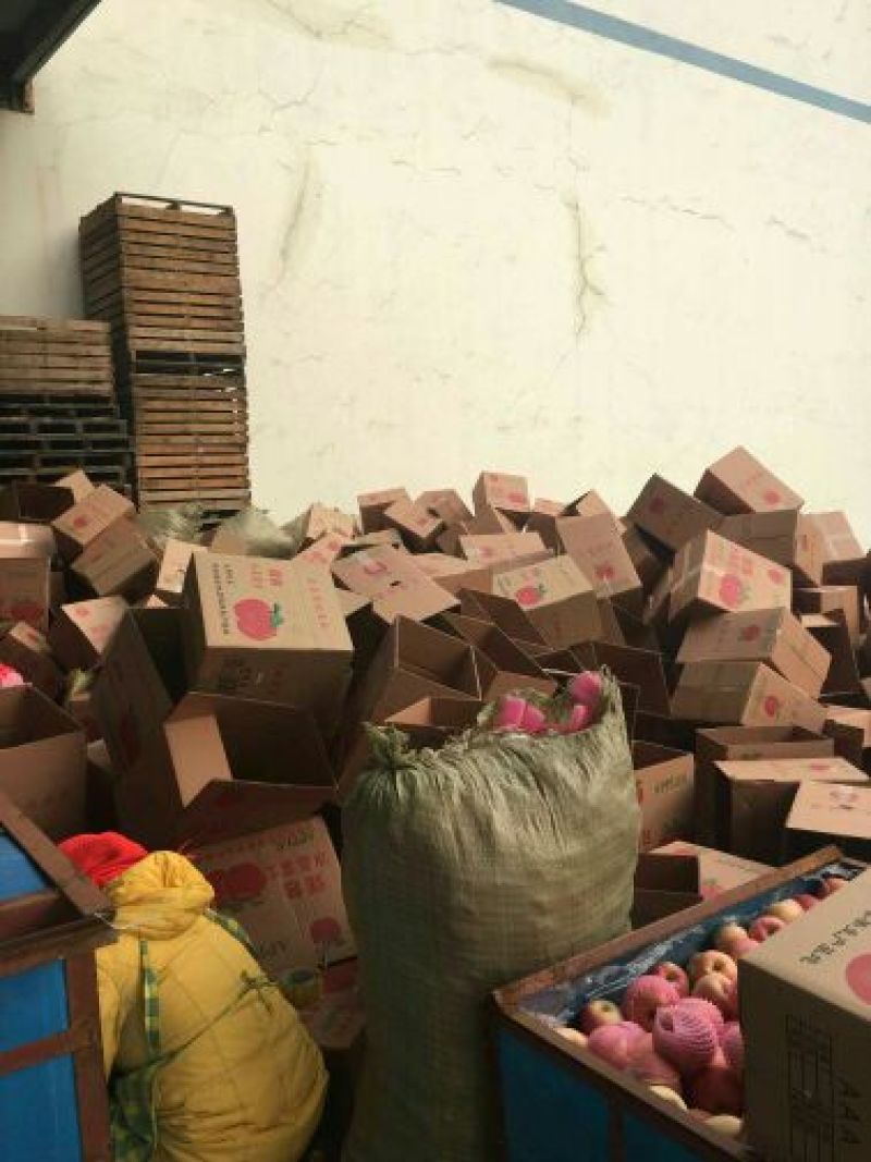 山东苹果正宗红富士苹果一手货源保质保量物流发货