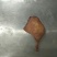 腊鸭腿包装