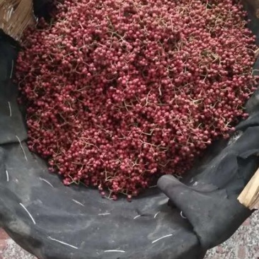 花椒一级干