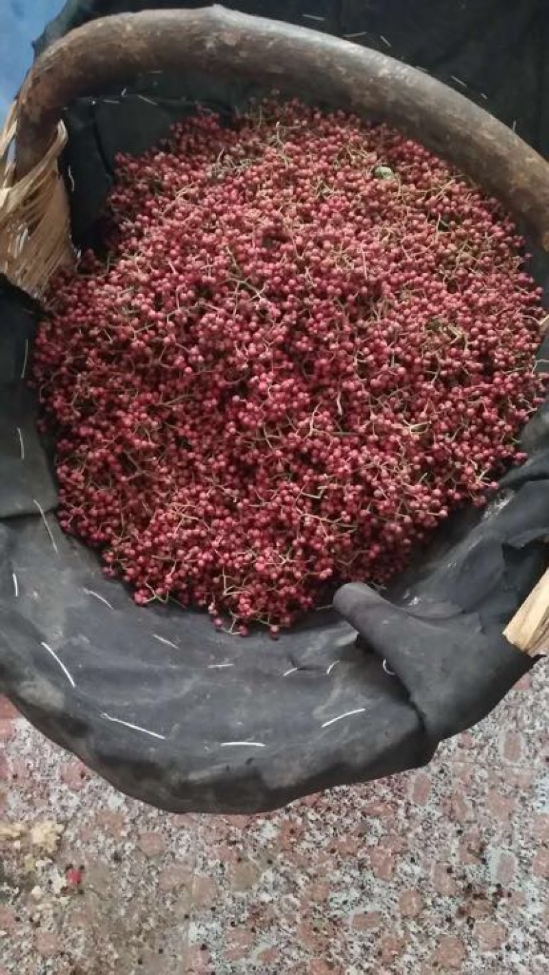 花椒一级干