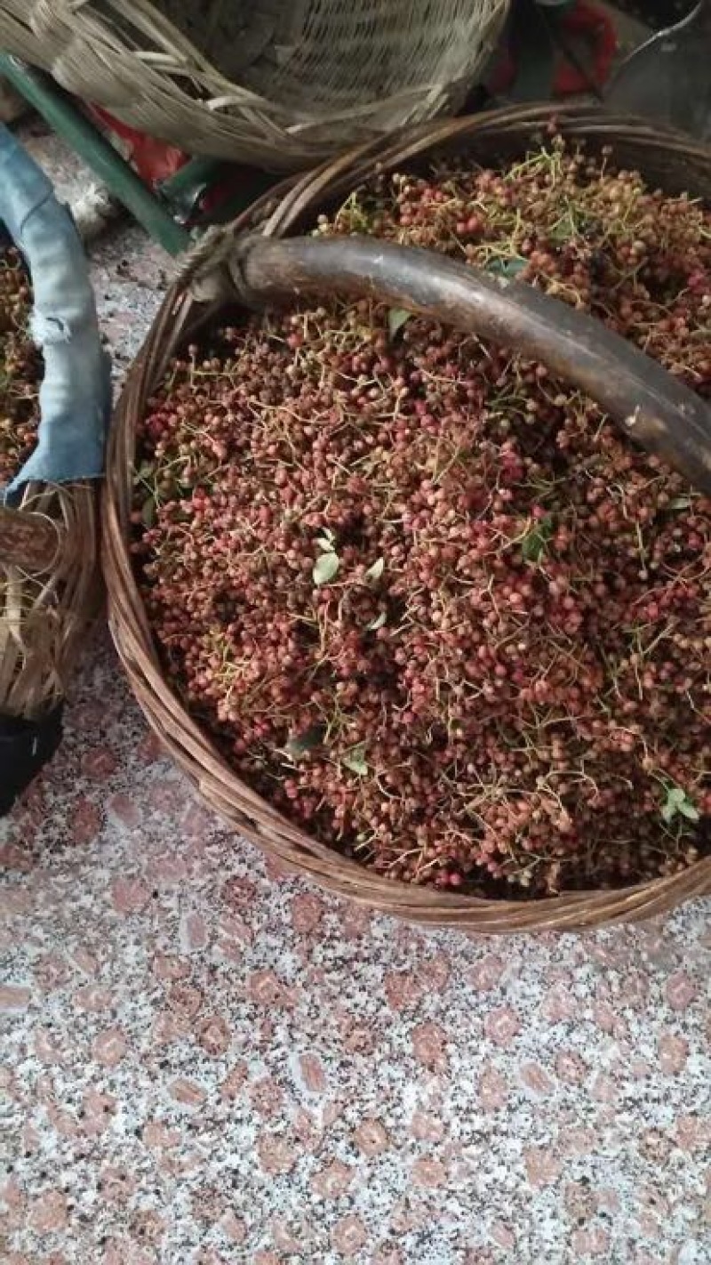 花椒一级干