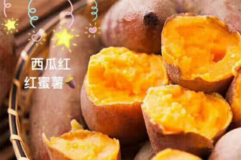 紫薯全粉爆皮王蕃薯