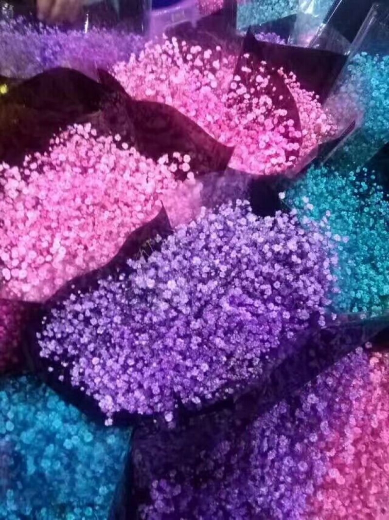 玫瑰鲜切花10朵