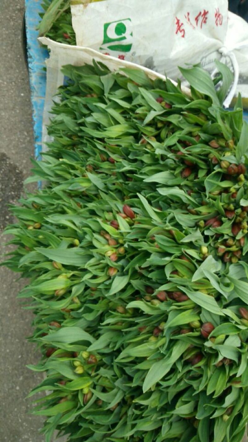 玫瑰鲜切花10朵