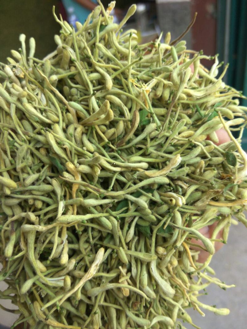 色青花空气能烘干品质良好
