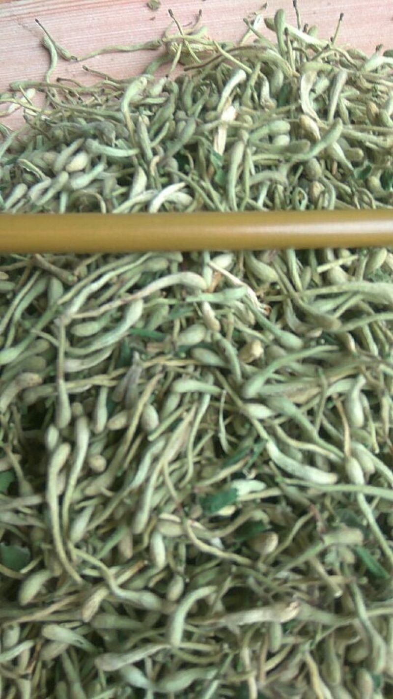 色青花空气能烘干品质良好