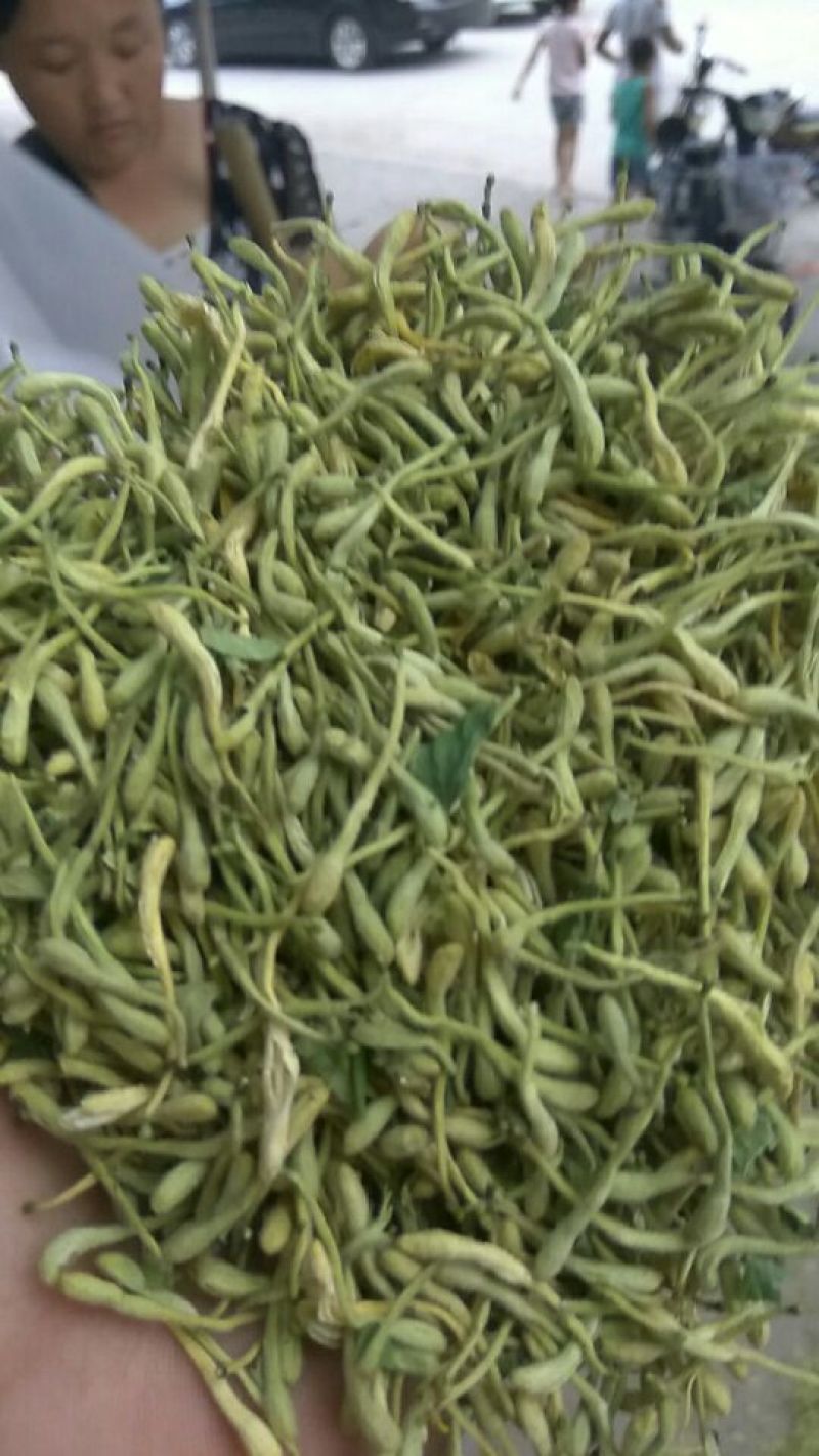色青花空气能烘干品质良好