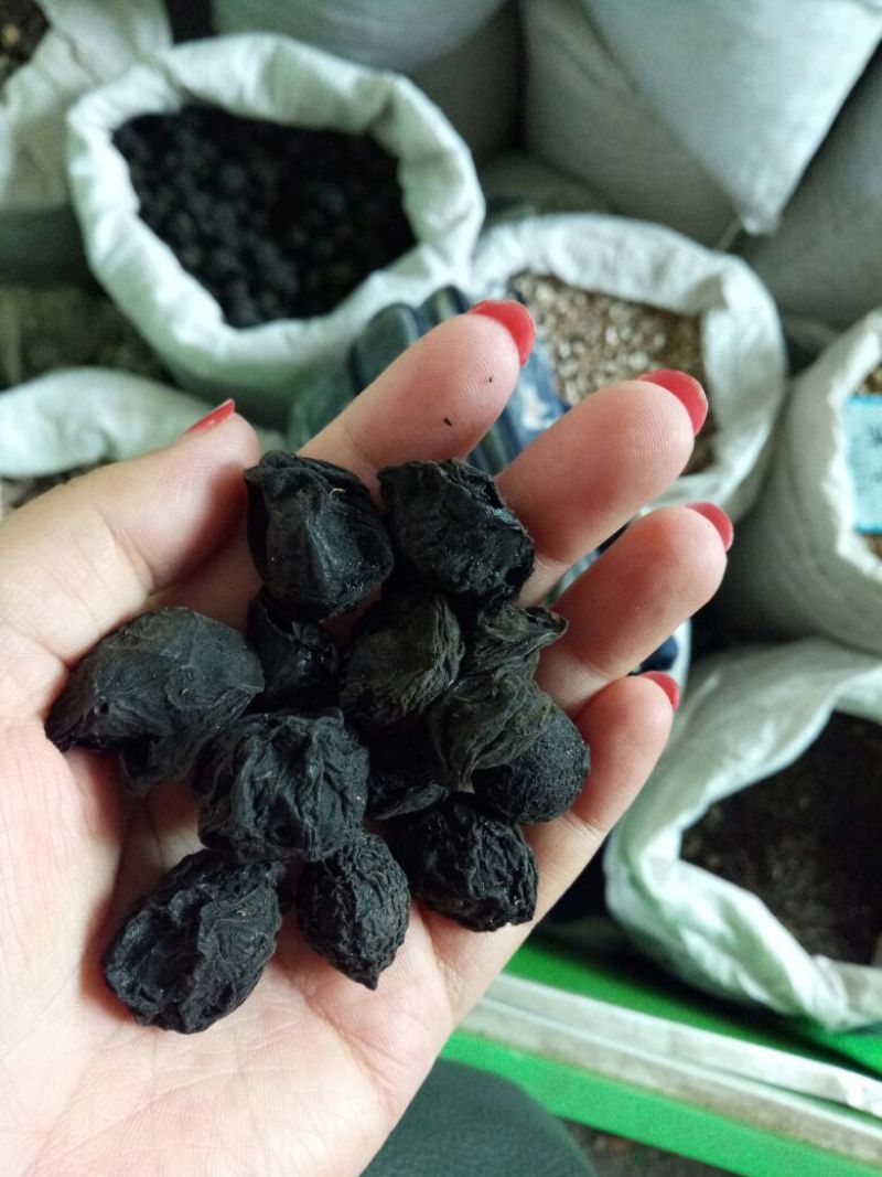 乌梅四川干货各种规格量大从优欢迎选购