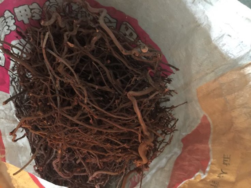 茜草