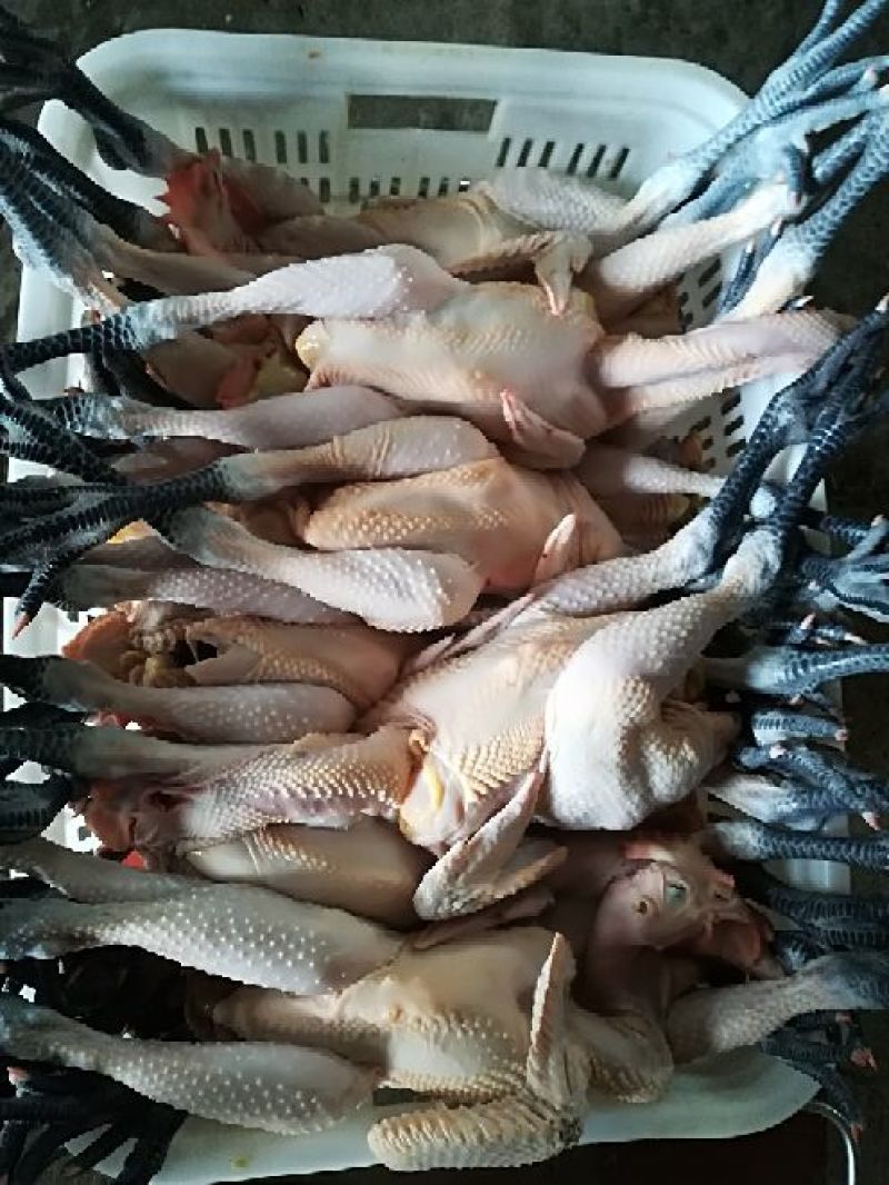卤鸡