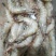 南美白对虾食用冻虾