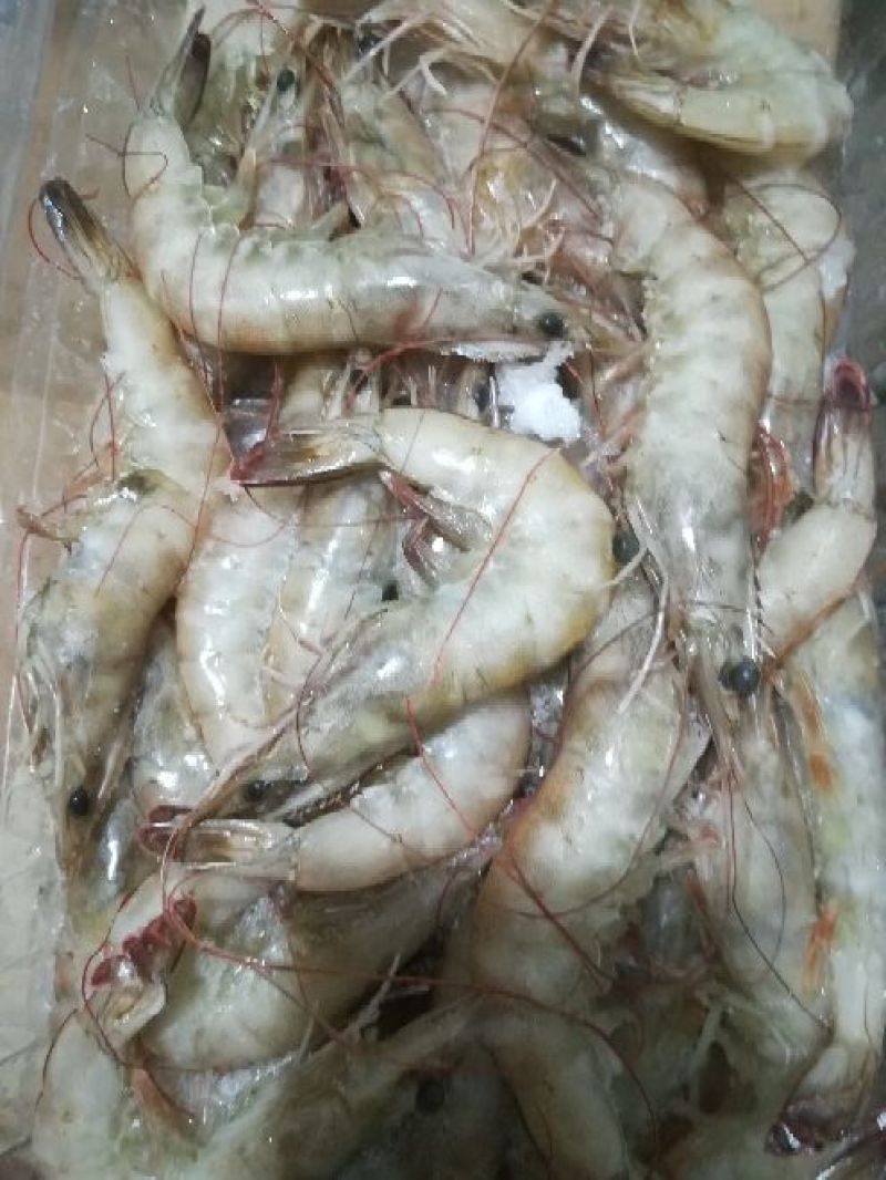 南美白对虾食用冻虾