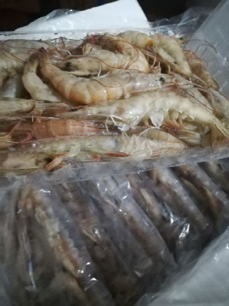 南美白对虾食用冻虾