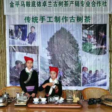 古树茶一级
