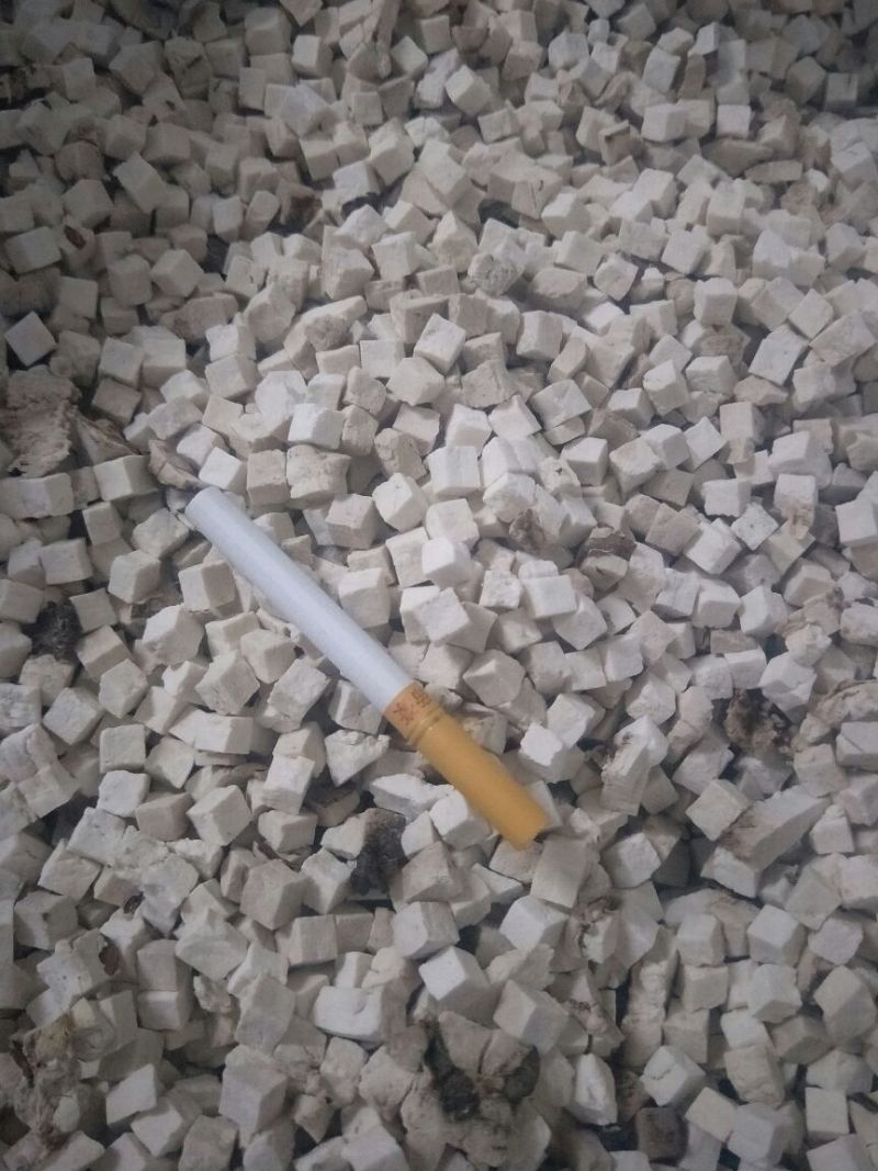 白苓块统丁