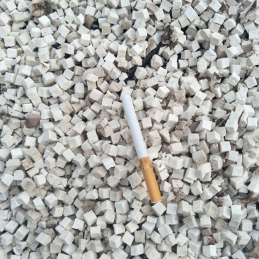 白苓块统丁