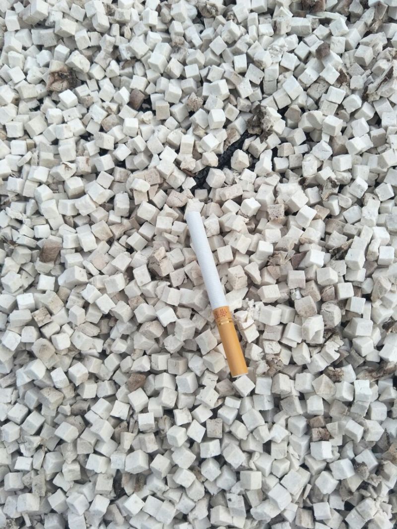 白苓块统丁