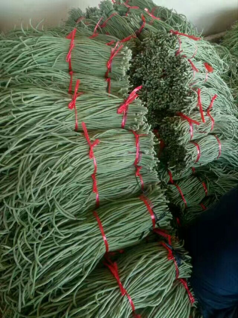 长豆角60厘米以上
