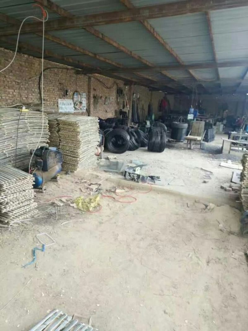 新西兰兔，肉兔种兔，包技术，包回收，全国发货