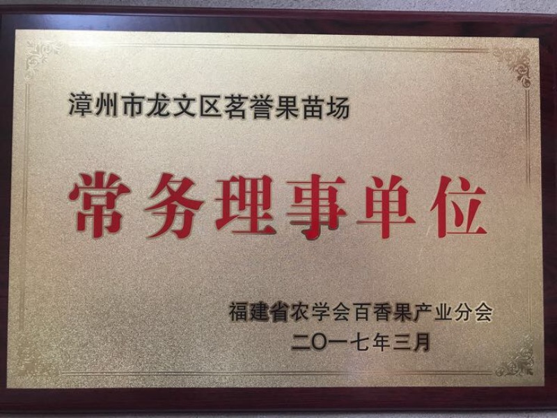 百香果苗种苗