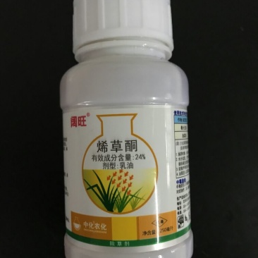 中化阔旺除草剂烯草酮24%250ml*50瓶