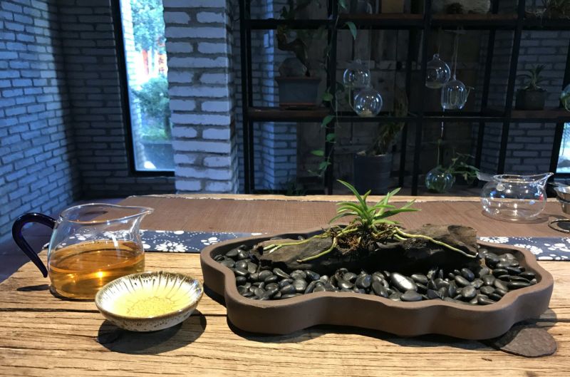 造型树