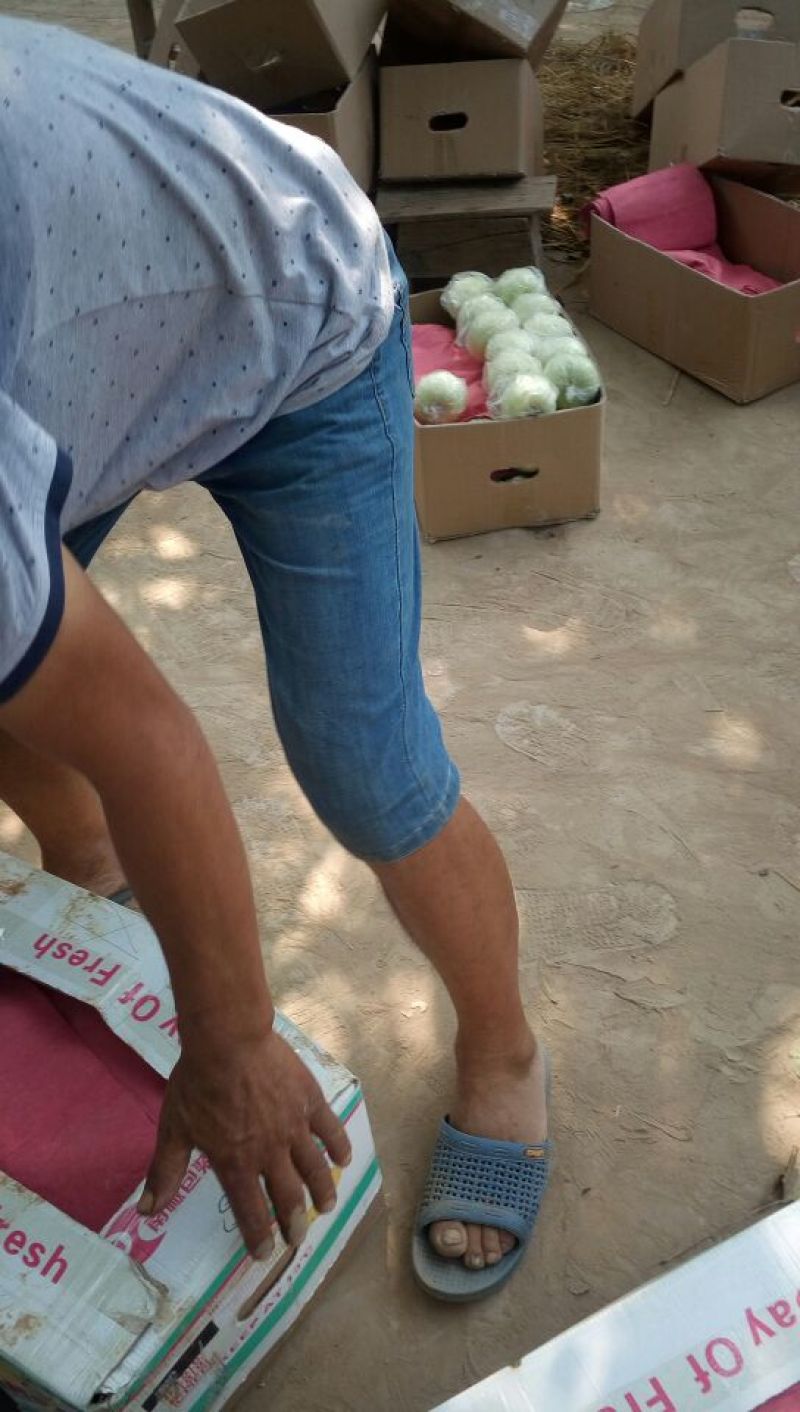青苹果华硕，华丹，藤木，优二，优三80mm以上精品货源