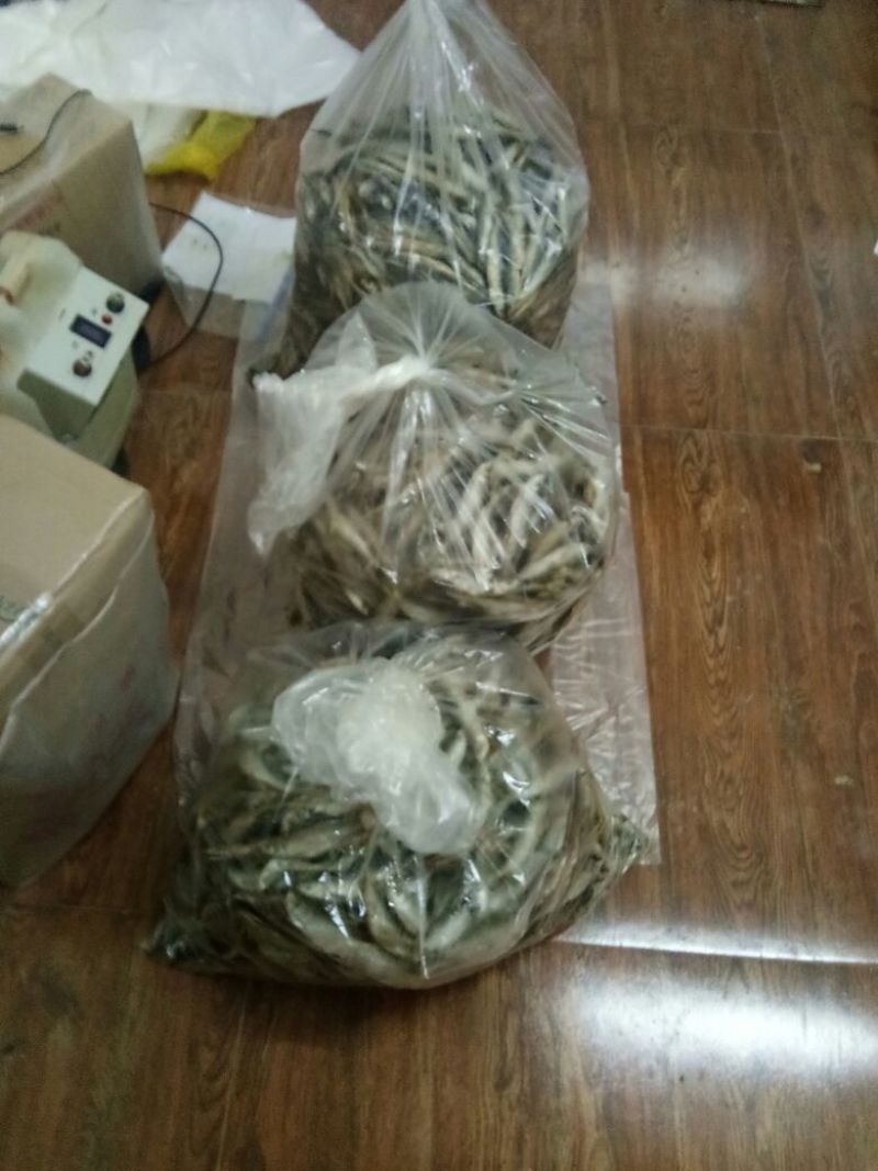 火焙鱼盐焗味（微辣）