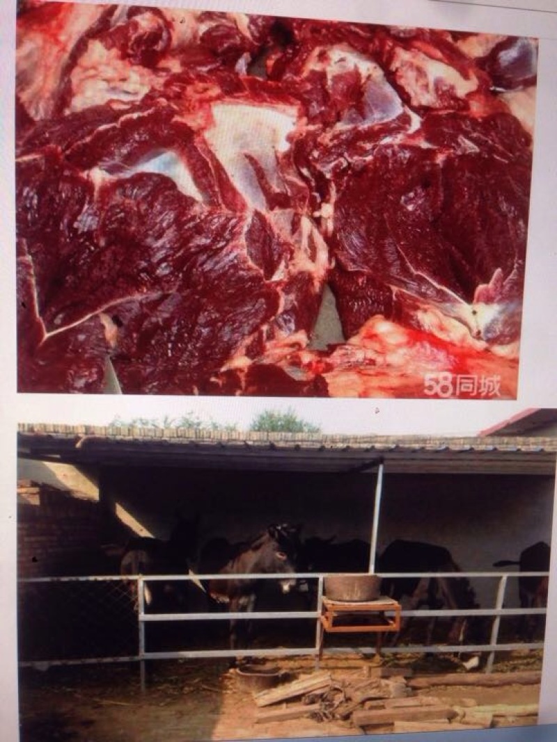 驴肉鲜货