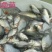 淡水白鲳鱼苗，生长快