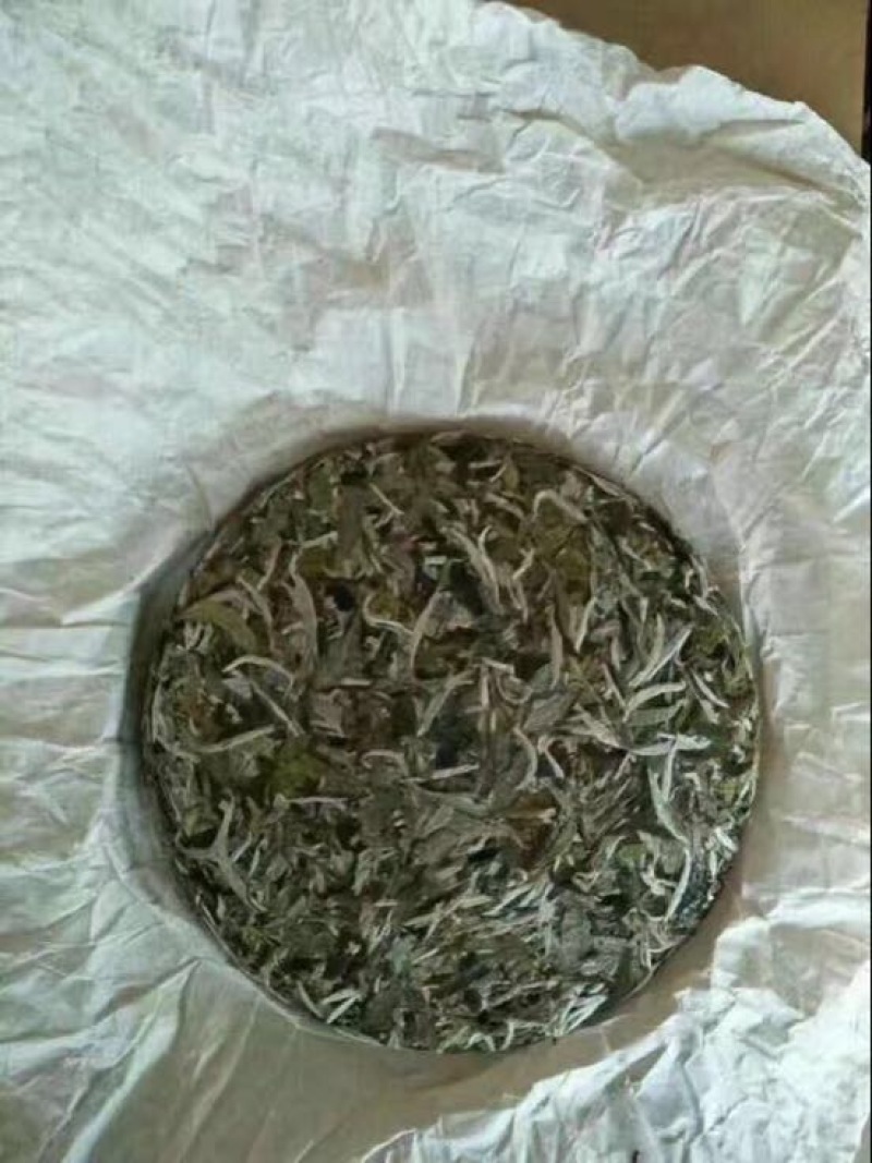 白牡丹特级