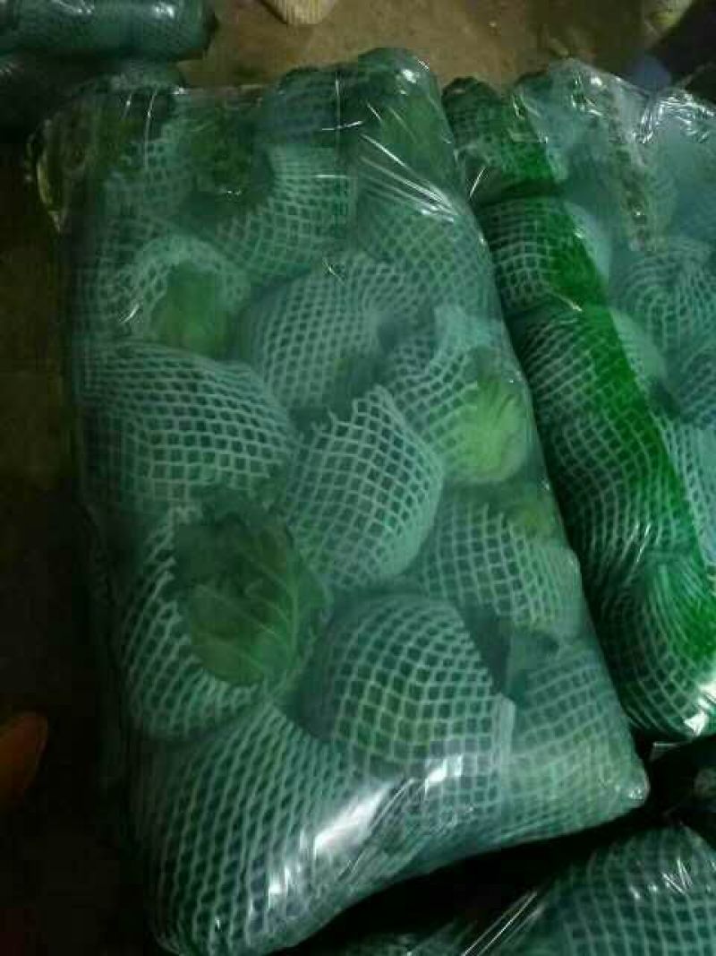 甘蓝，包菜，基地直供，质量好，适合各地客户需求
